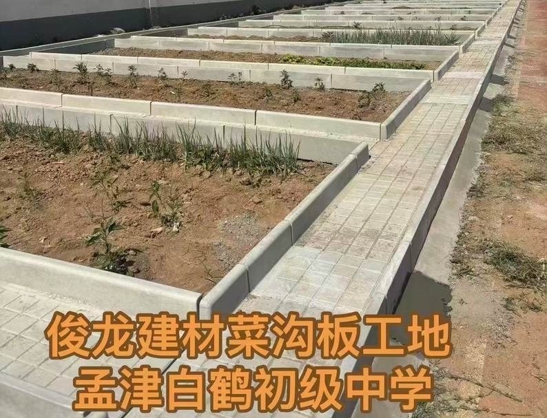 孟津白鶴初級中學